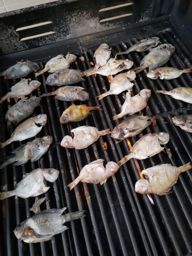 香港最后一片净土避世天堂,香港西贡一日游攻略图