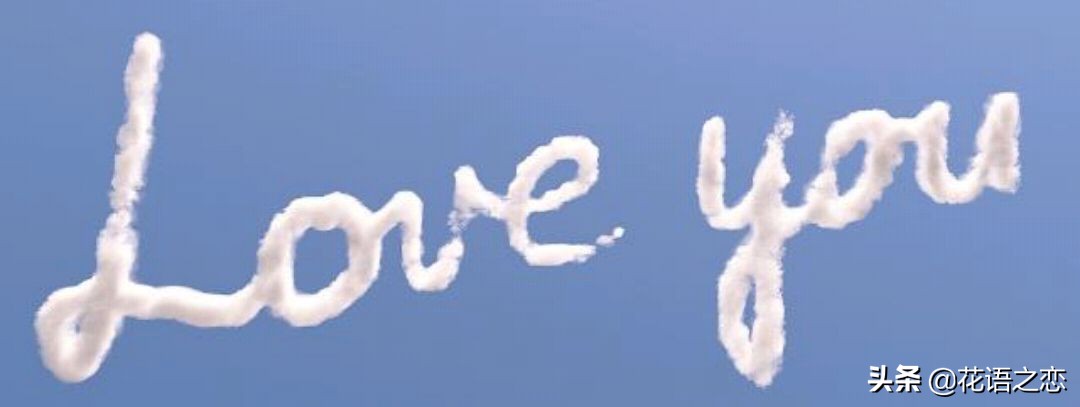 唯美的樱花花语,樱花落英缤纷拍摄技巧