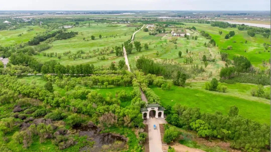 仙鹤起舞水粉画,仙鹤起舞展翅飞