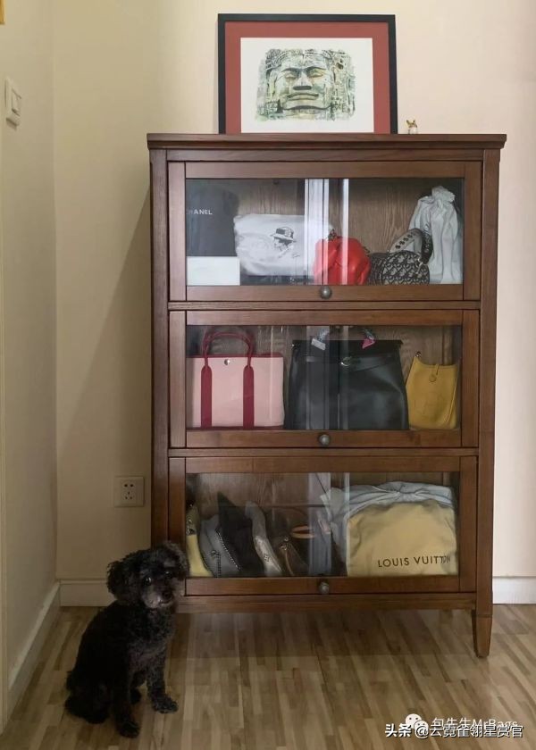 大家的包包和宠物,都太可爱了!