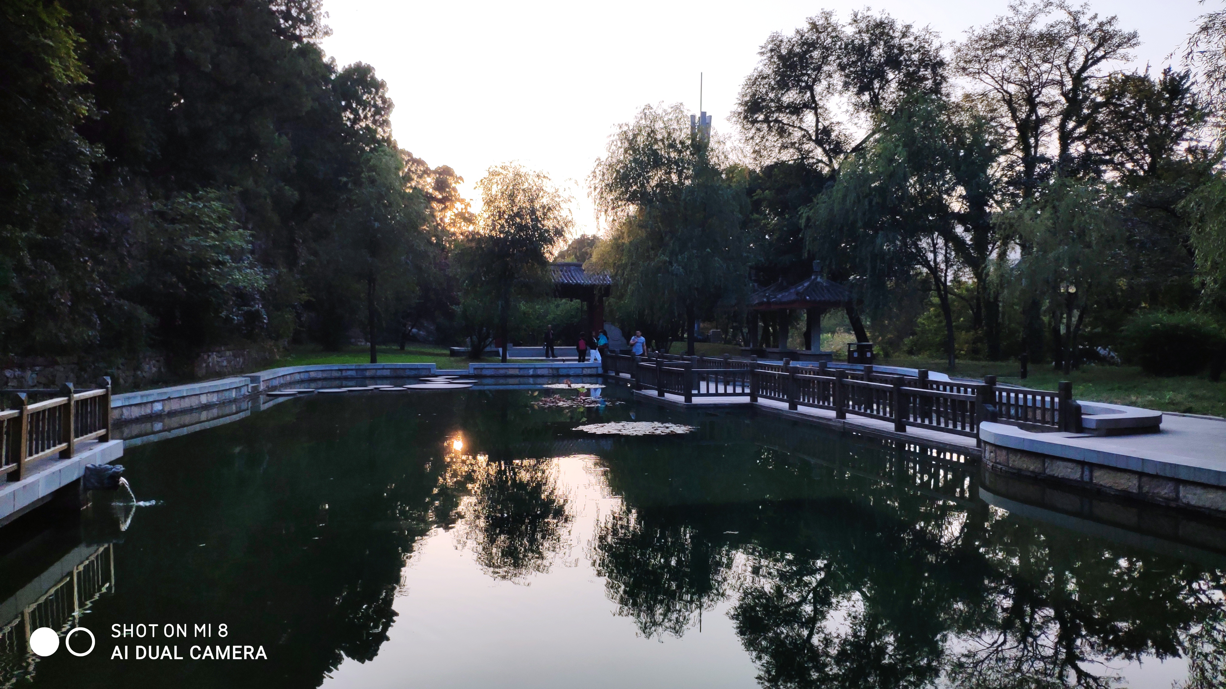 去济南灵岩寺什么必看,济南灵岩寺神树