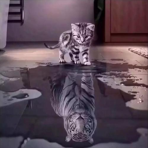 脑梗的老人怎么照顾,脑梗偏瘫家属怎么帮助