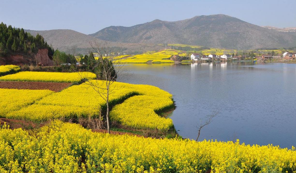 陕西第二大城市渭南,陕西第三大城市是哪