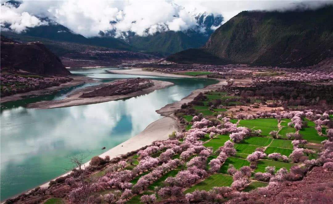 想去林芝怎么办,想去西藏旅游的有吗