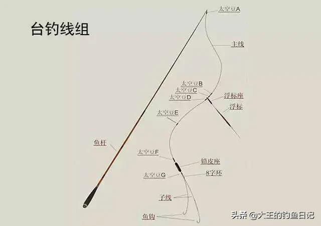 钓鲢鳙如何根据鱼情调整钩距,选好的钓鱼线