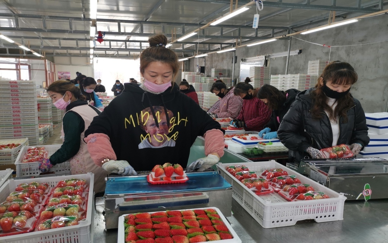 疫无反顾依旧坚守,义无反顾巾帼担当