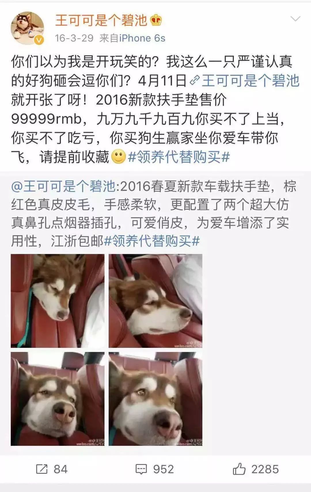 宠物猫粮销量上涨,猫粮一年卖9000万