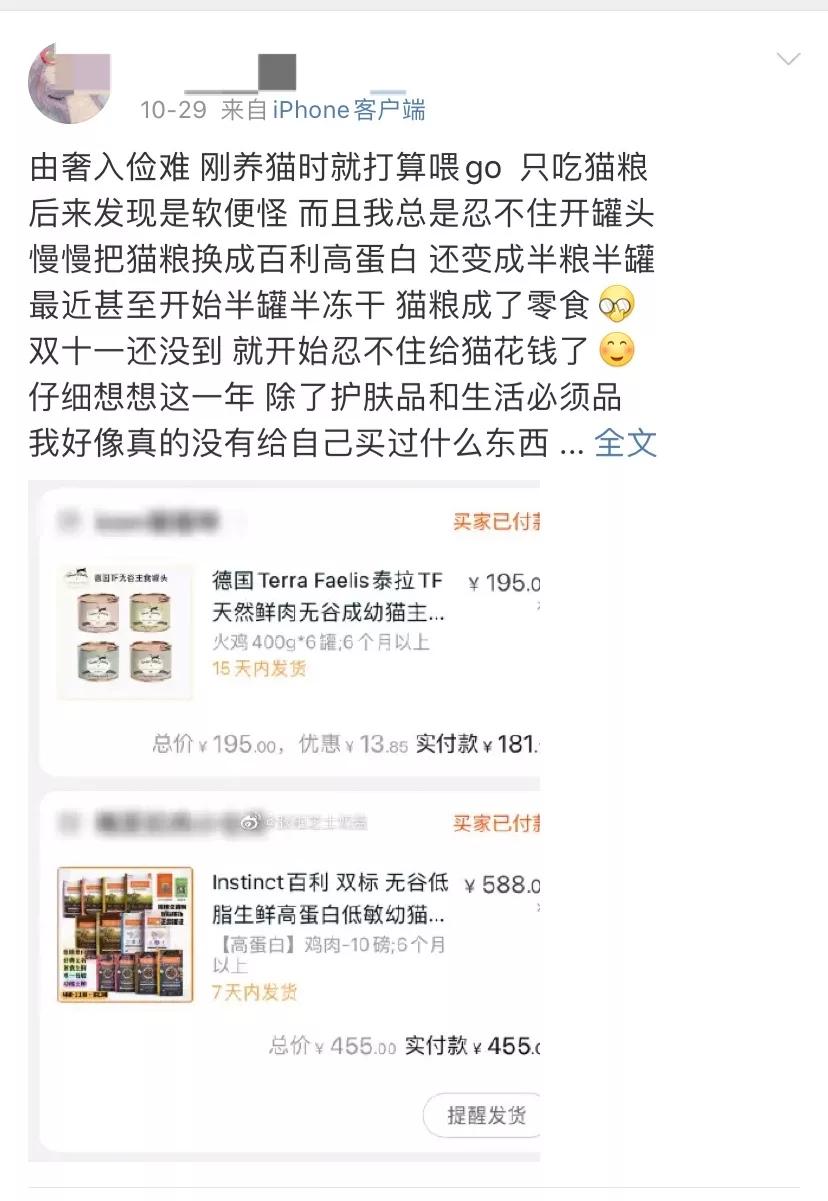 以为单身就可以自由,开始以为养猫是为了不孤单