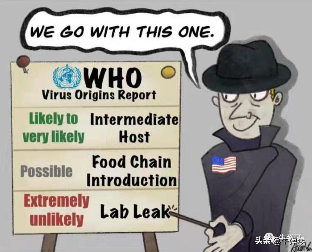 美国的阴谋深度解析,美国酝酿阴谋