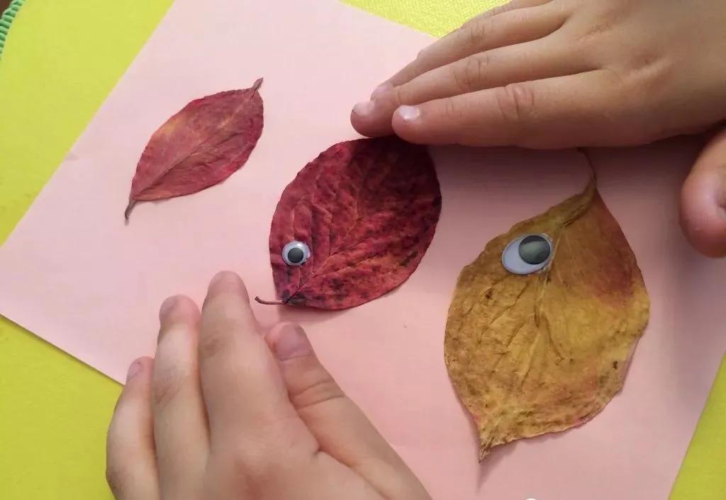 有多少种各种各样的小动物呢,用落叶做可爱的小动物