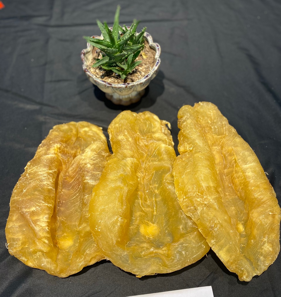 花胶要怎么选比较好,花胶如何挑选是好的