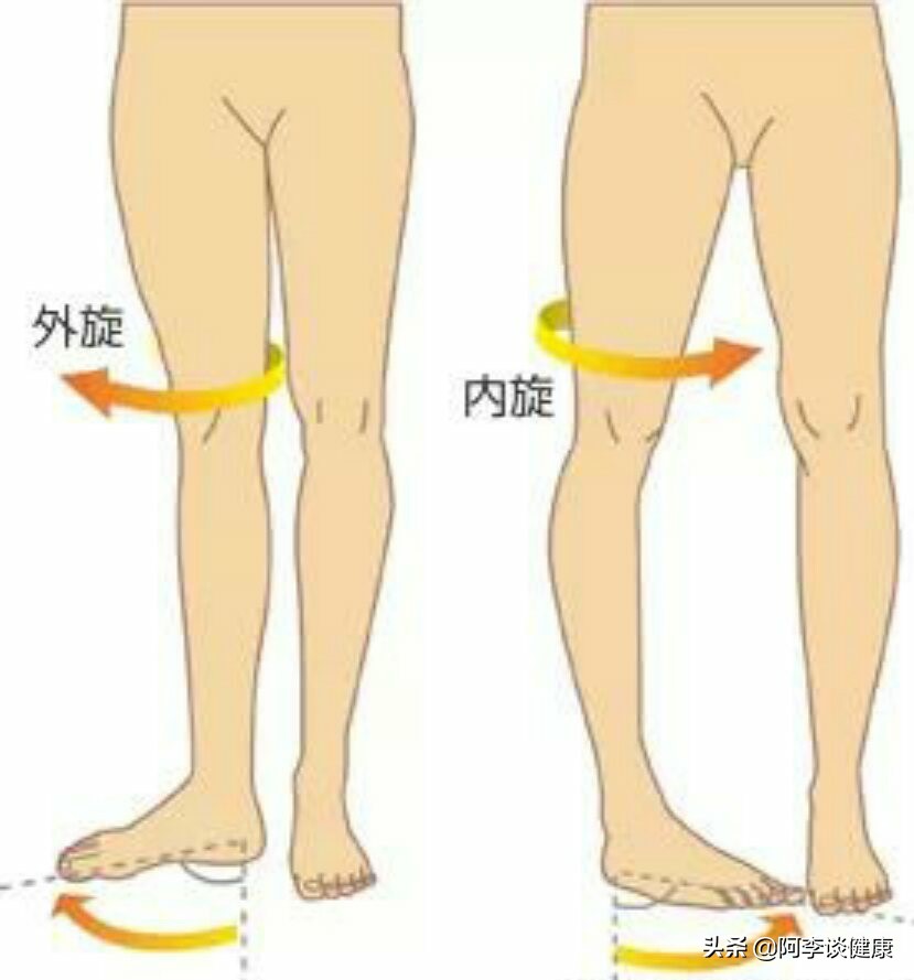 想要腰瘦能练腹横肌吗,你应该做的3项髋关节内收肌训练