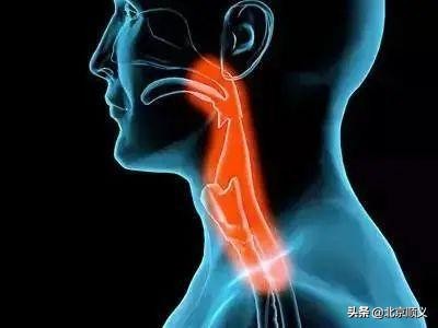 中医药健康节活动,首届养生文化节优惠不断