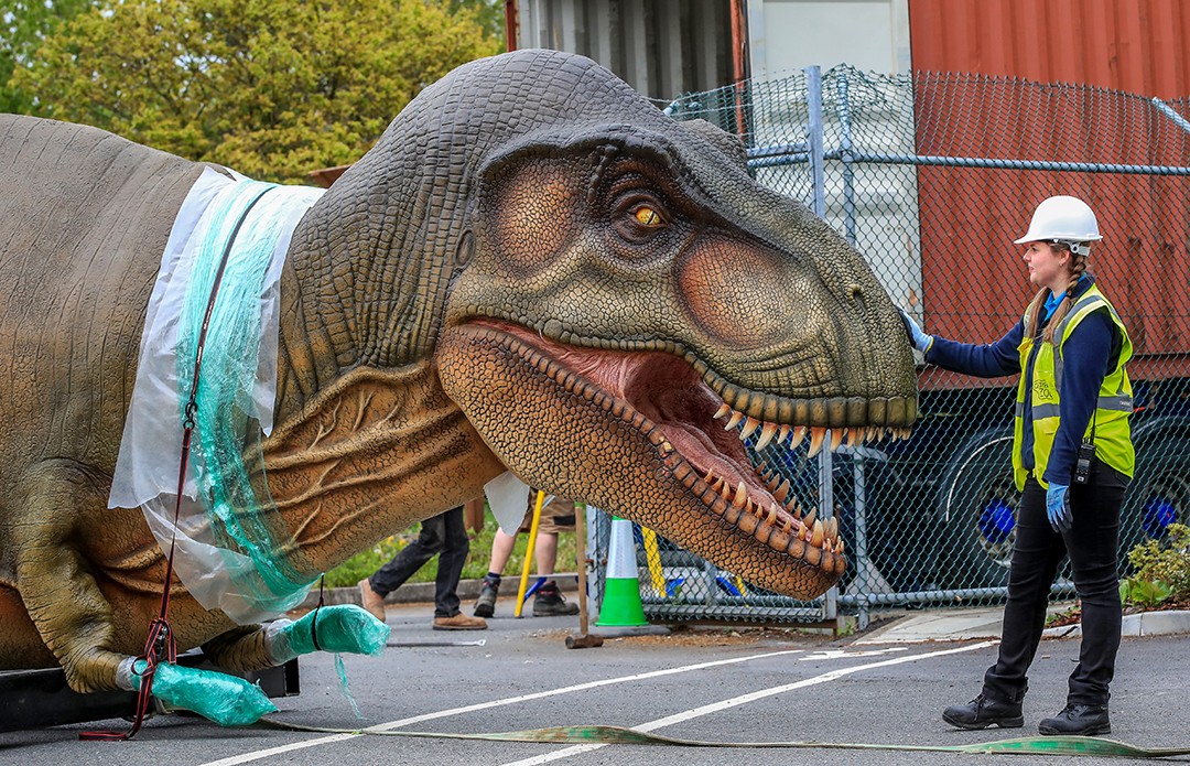 盘点侏罗纪最强恐龙,重返侏罗纪恐龙图片