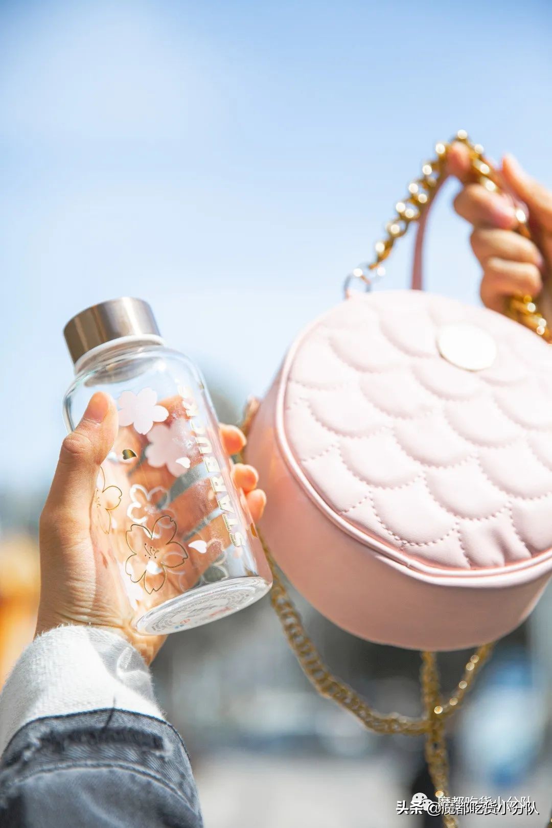 17元/颗的隐形草莓，荷兰来的