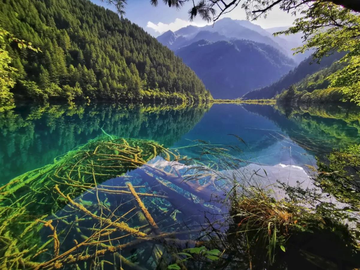 成都出发九寨沟门票,成都出发九寨沟自驾多少钱