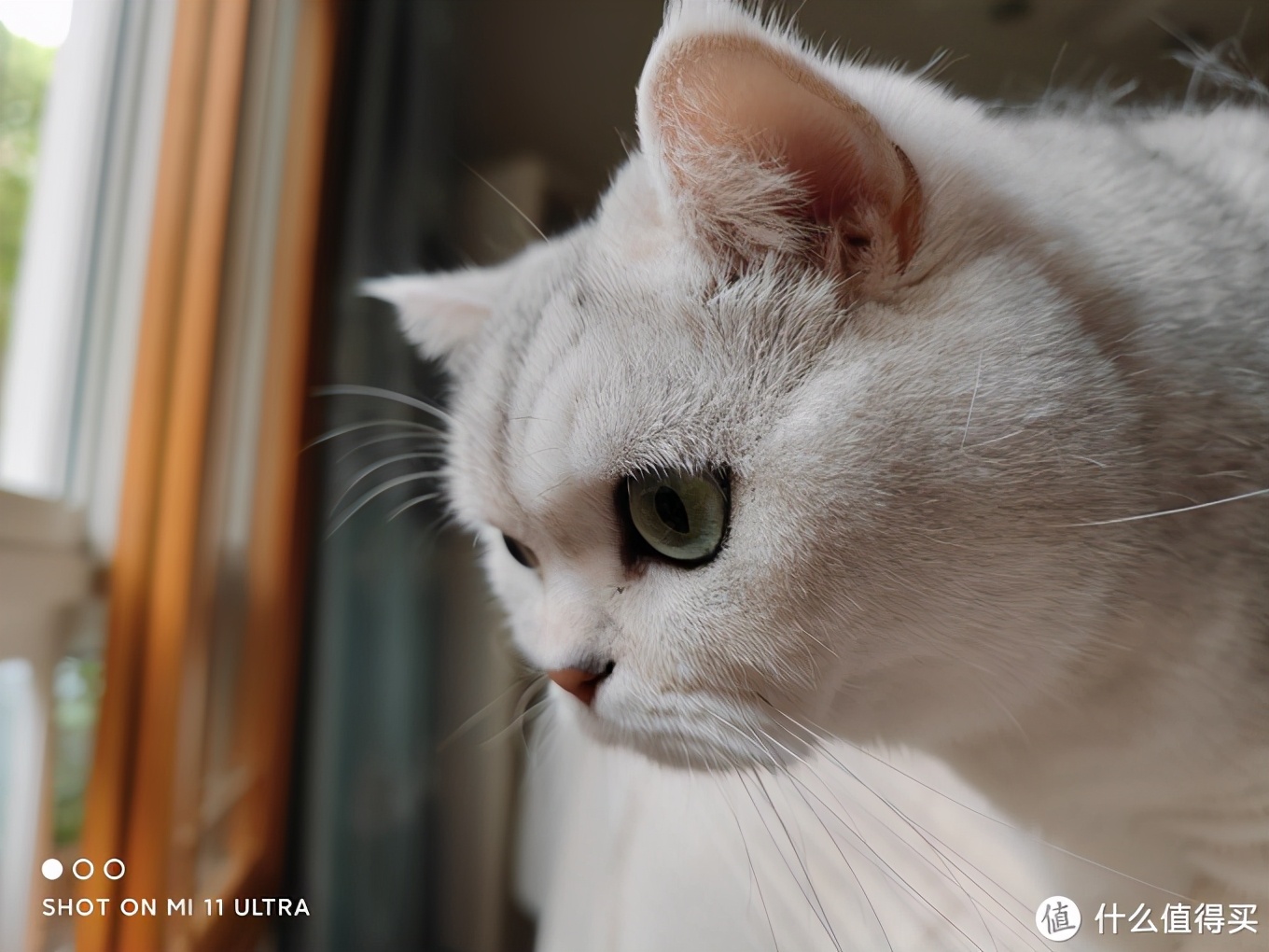 小米11ultra至尊版讲解,小米10至尊和小米11ultra拍照对比