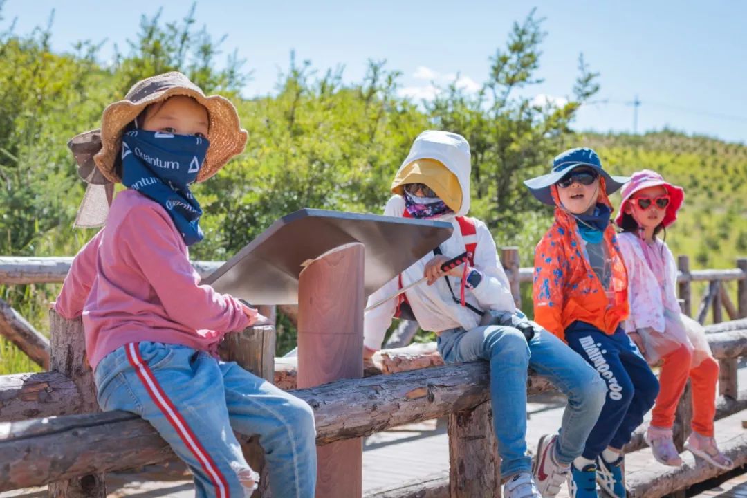 只要你面朝青海湖，八月依旧春暖花开