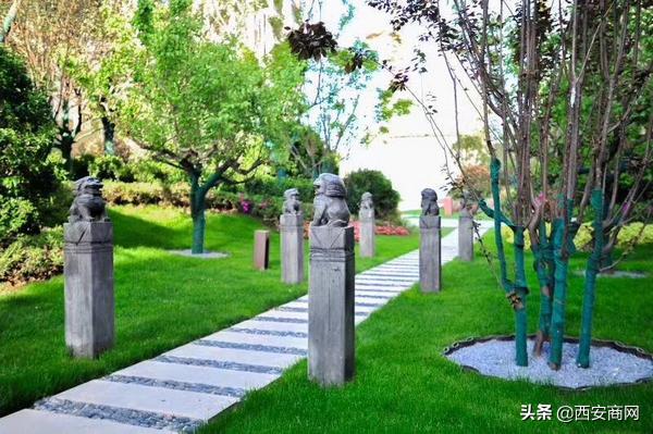 碧桂园“浐灞双星”闪耀||于城市浮尘中筑一处世外桃源