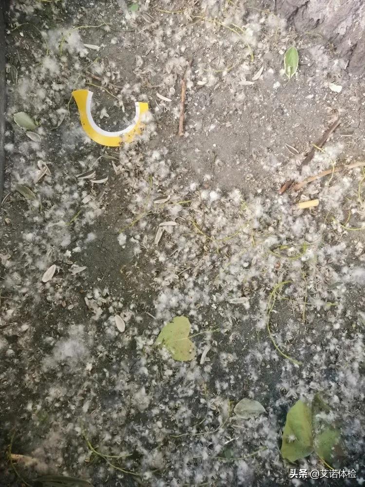 紧急提醒合肥,合肥5月5日天气预警图