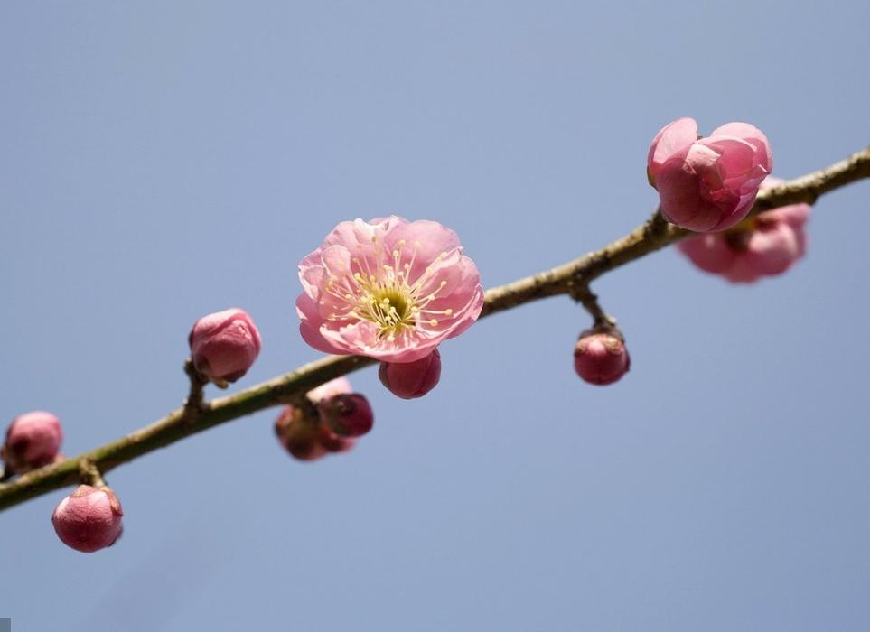 期货选势选时,期货交易时机