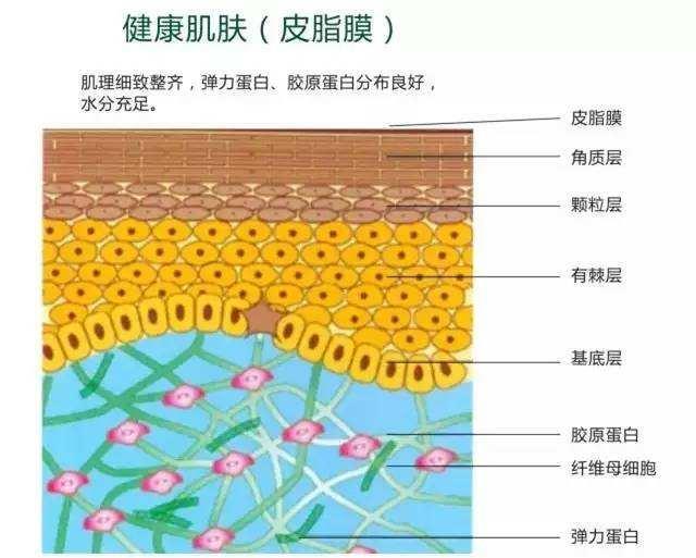 皮肤过敏红肿痒怎么解决,皮肤受损起皮泛红刺痛怎么办