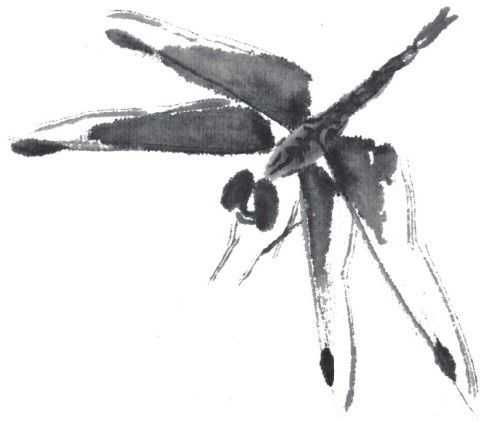 残荷蜻蜓国画画法及调色,徐湛国画蜻蜓的画法