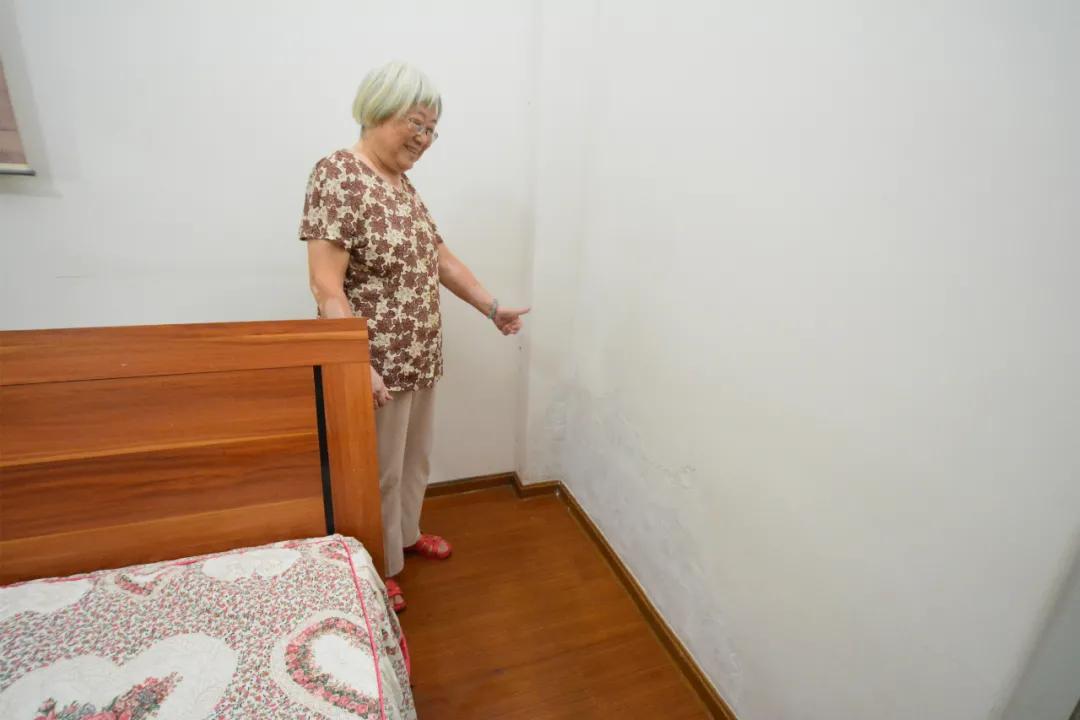 睡觉青苔霉菌连一起可靠信赖求助呼援通