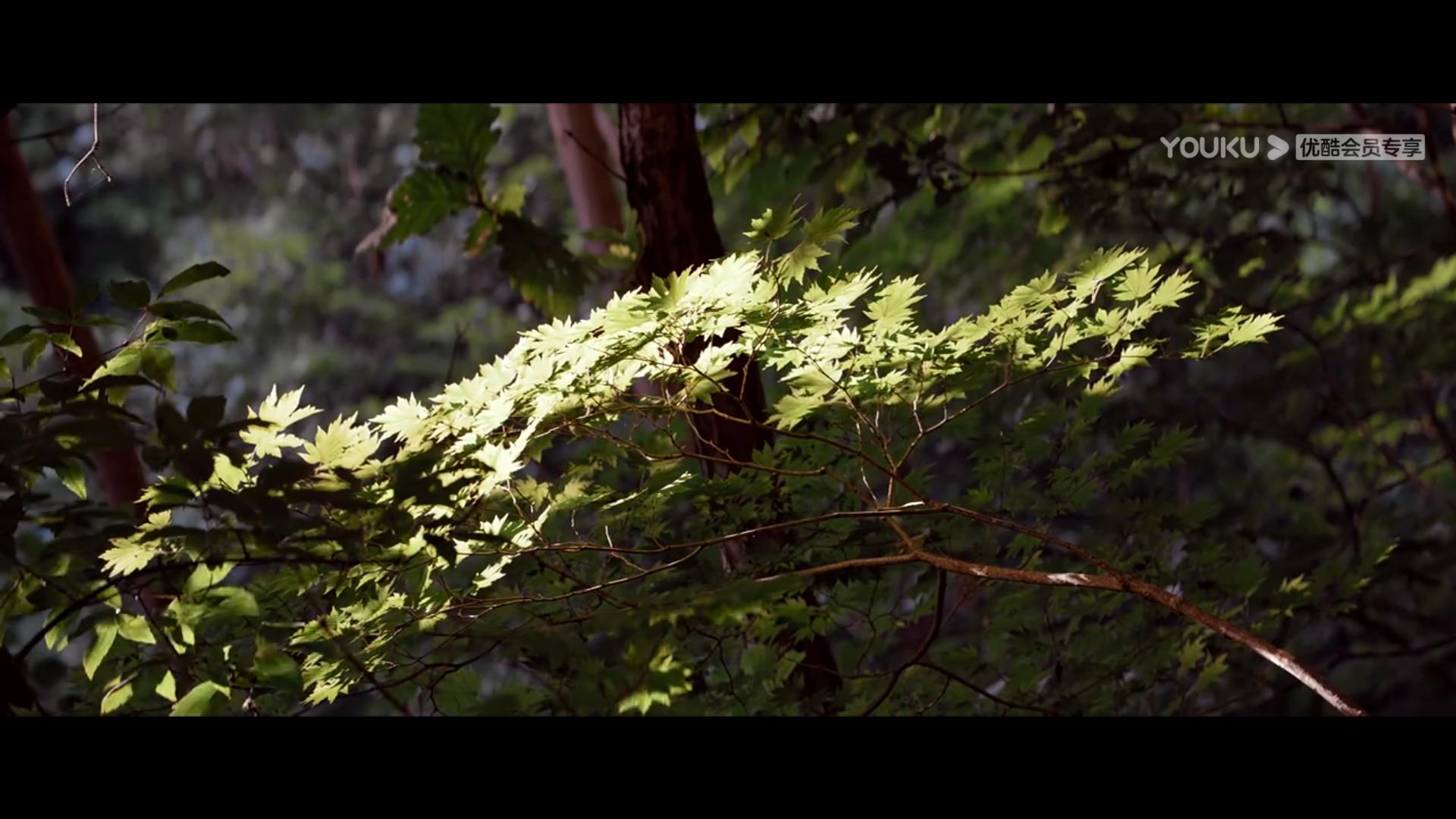 明基爱普生优派投影仪,优派明基爱普生投影仪