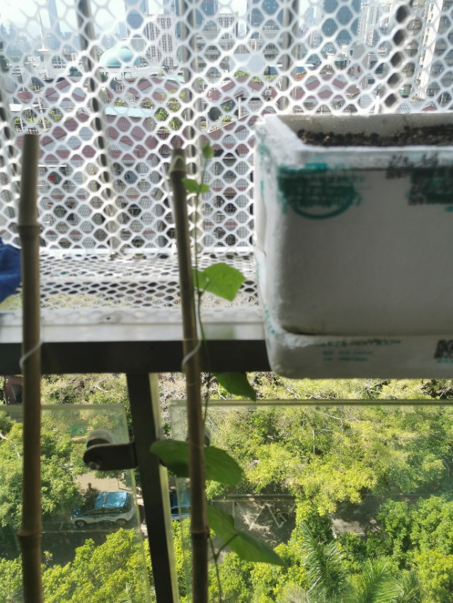 背阴阳台设计,收获展板