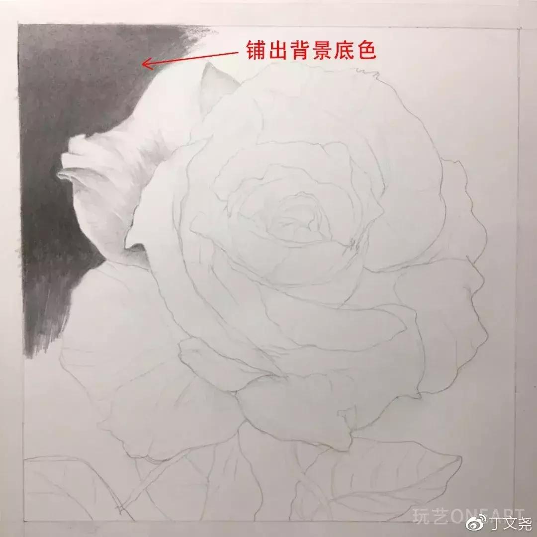 素描教程简单8-12岁玫瑰花,玫瑰素描怎么画