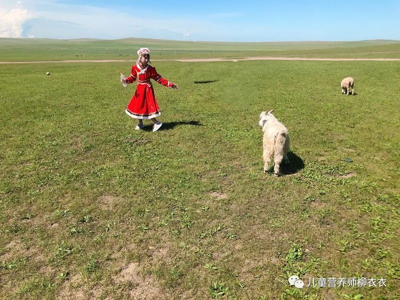 暑假带孩子内蒙古旅游攻略,暑期内蒙古亲子游鄂尔多斯