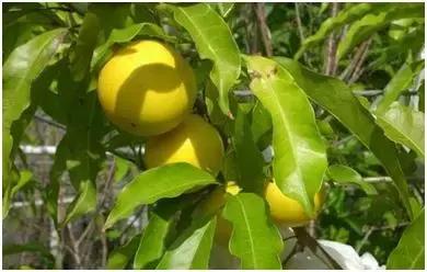 比较靠谱的致富项目,100个能赚钱的好项目