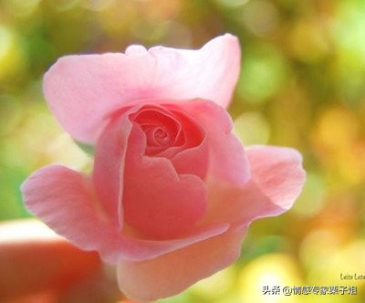 高一上学住个校就能天天哭闹的想自杀