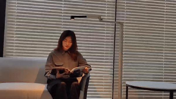 戴森600元,戴森1500元