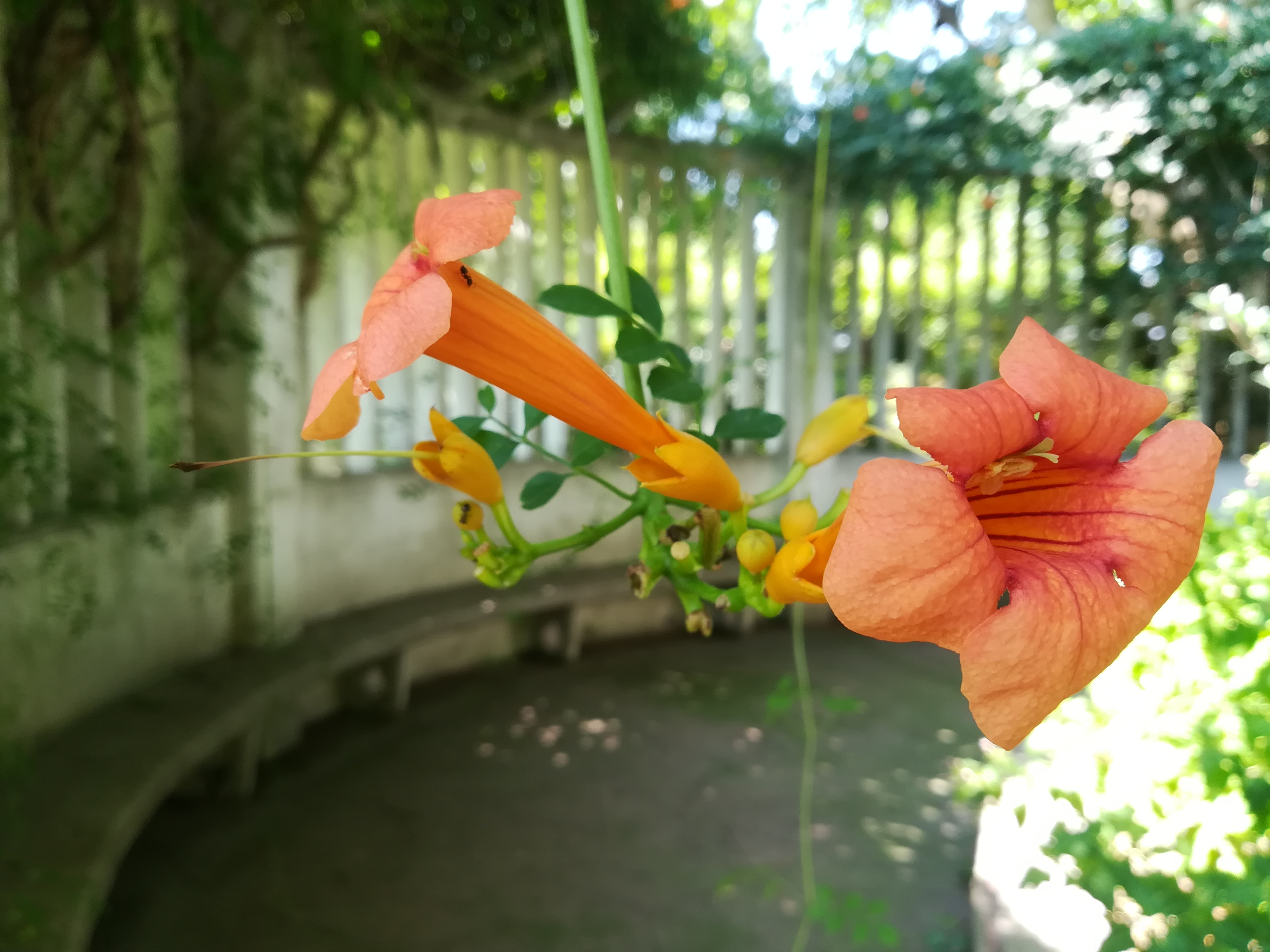 上海长风公园钓鱼,上海长风公园改造计划