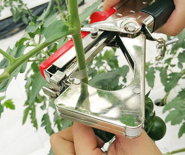 以满足农户需求为己任喜达利园林工具成为农友好帮手