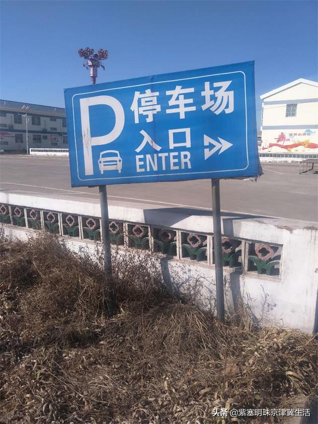 八月别来这座小岛，海鲜吃饱，大海景美唐山月坨岛009号别墅农家