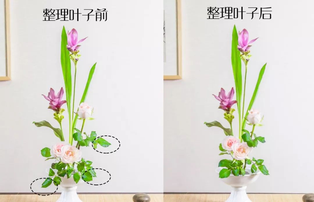 小原流花道国际标准教程,小流源花道入门教程视频