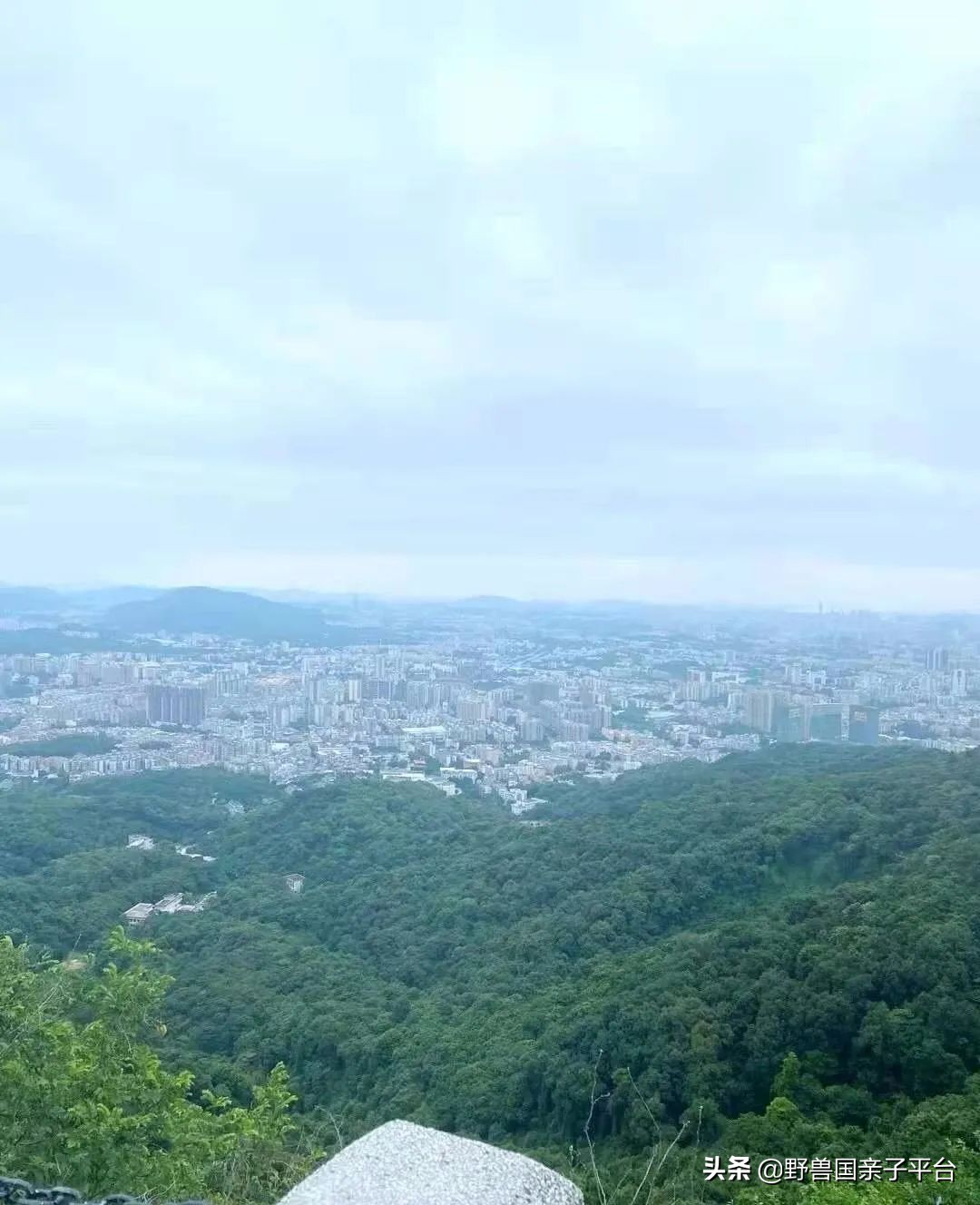 广州遛娃出游,广州遛娃3-4天攻略