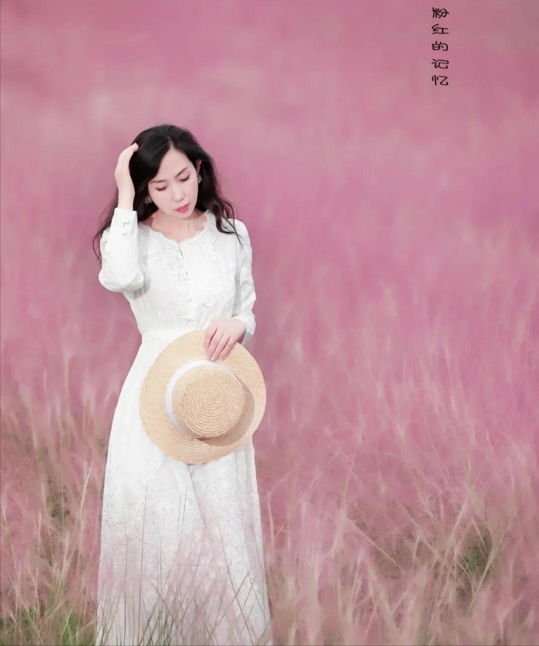 粉黛乱子草红了！成都周边这6个地方，不收门票这周就能去