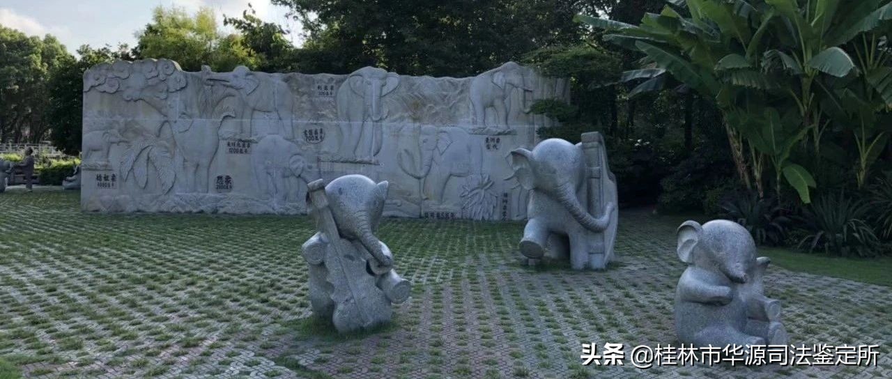 嗅觉鉴定属于法医鉴定吗,嗅觉丧失法医怎么鉴定