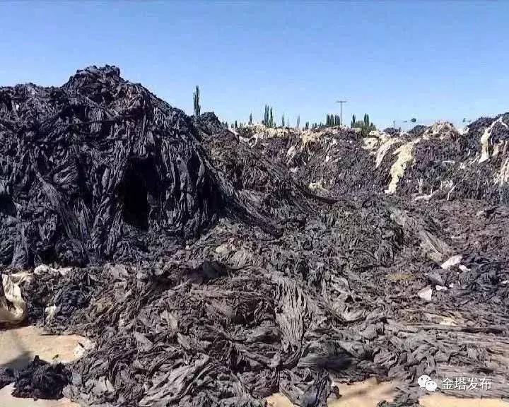 赞！金塔这件事拎得清，变废为宝“新玩法”~