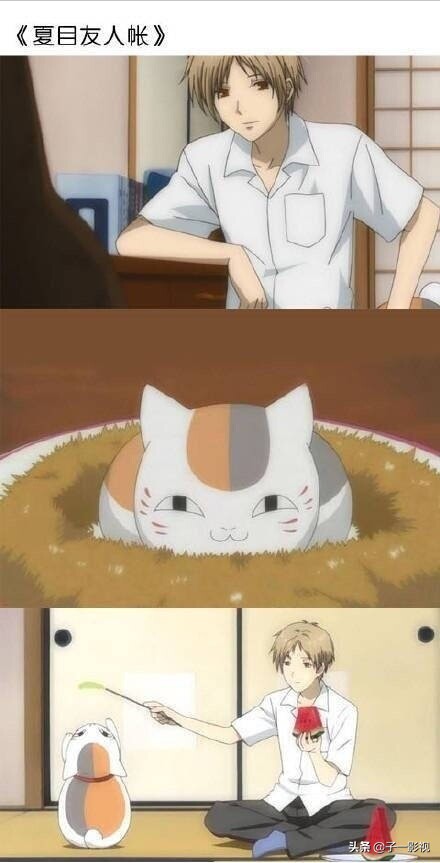 唯美又治愈的日本动画电影,日本十大催泪治愈系动画电影