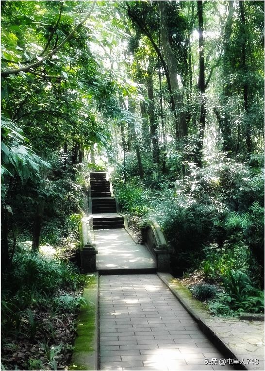 便宜小众旅游景点路线,冷门山林景点