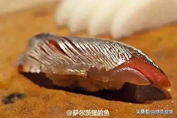 32种经典寿司做法视频,寿司常用的鱼