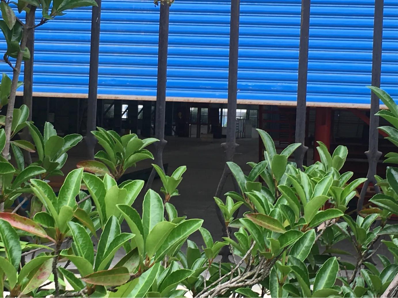 盛运环保300070,300090盛运环保要退市了吗