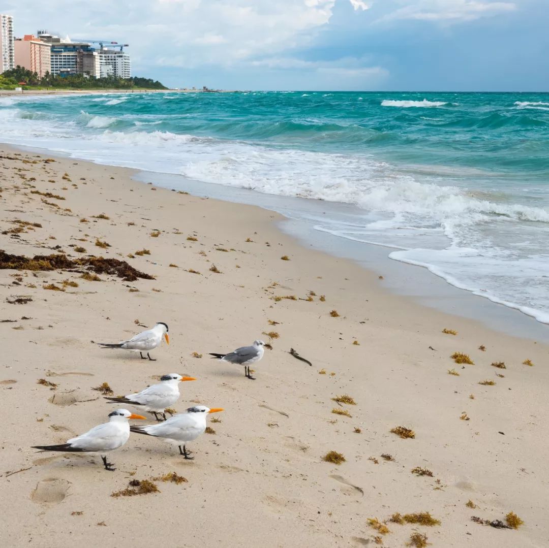 100座世界超美海岛，有你喜欢的吗？