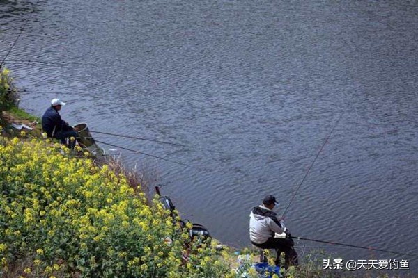 冬天钓鱼什么风向好钓鱼,什么风向好钓鱼东南风好钓鱼吗