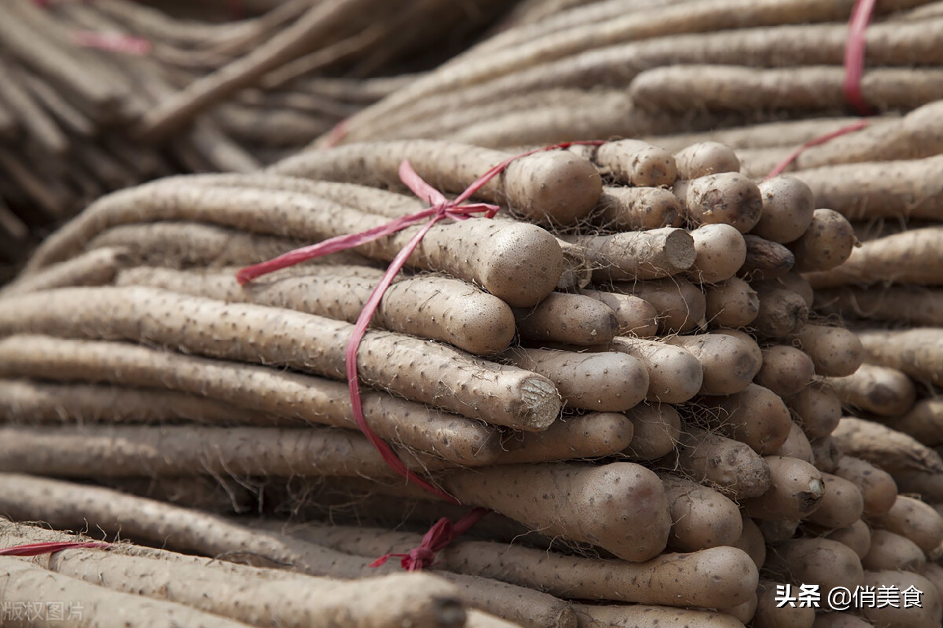 河南省特产有哪些可带走,河南省郑州市十大特产